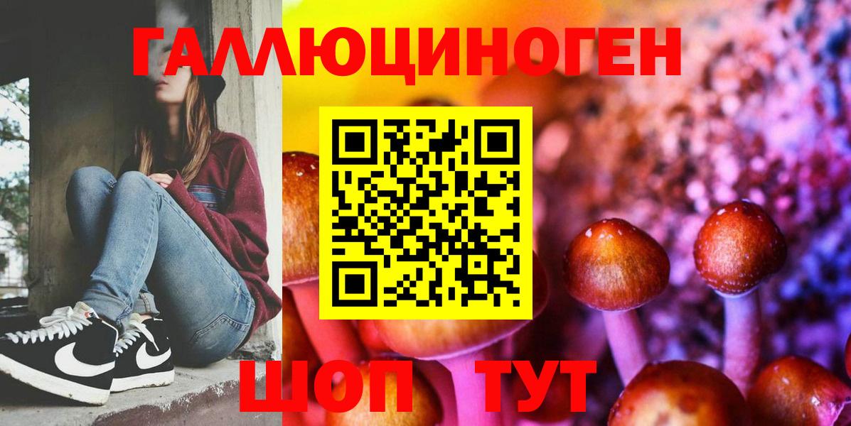 Галлюциногенные грибы Psilocybe  Вход с VPN  Галлюциногенные грибы Psilocybine cubensis  Сухой Лог 